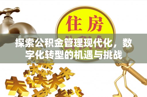 南投市探索公积金管理现代化，数字化转型的机遇与挑战