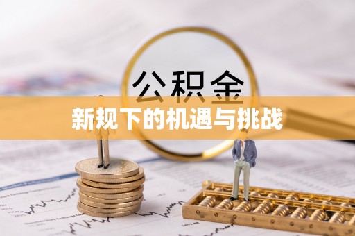 南投市新规下的机遇与挑战