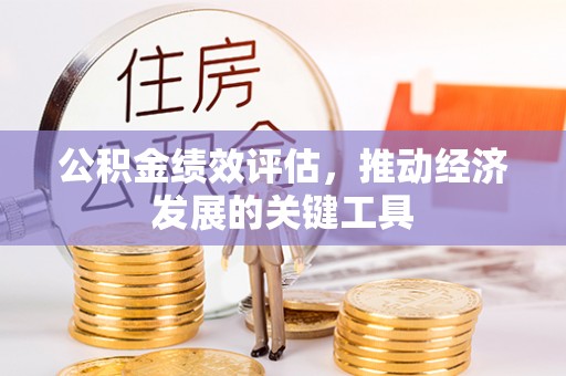 南投市公积金绩效评估，推动经济发展的关键工具