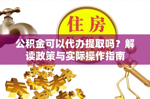 南投市公积金可以代办提取吗？解读政策与实际操作指南