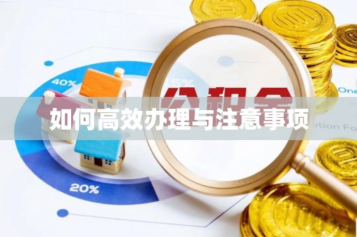 南投市如何高效办理与注意事项