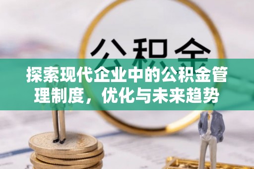 南投市探索现代企业中的公积金管理制度，优化与未来趋势