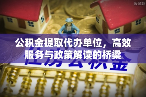 南投市公积金提取代办单位，高效服务与政策解读的桥梁