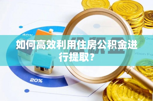 南投市如何高效利用住房公积金进行提取？