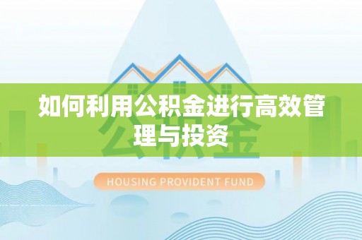 南投市如何利用公积金进行高效管理与投资