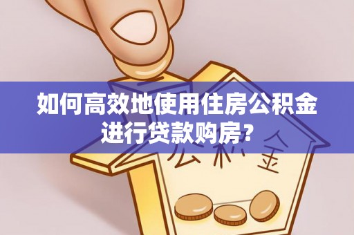 南投市如何高效地使用住房公积金进行贷款购房？