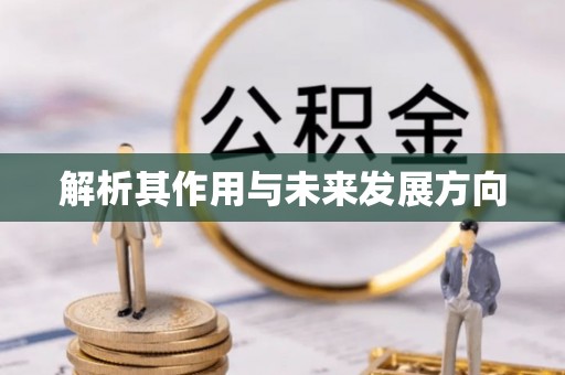 南投市解析其作用与未来发展方向